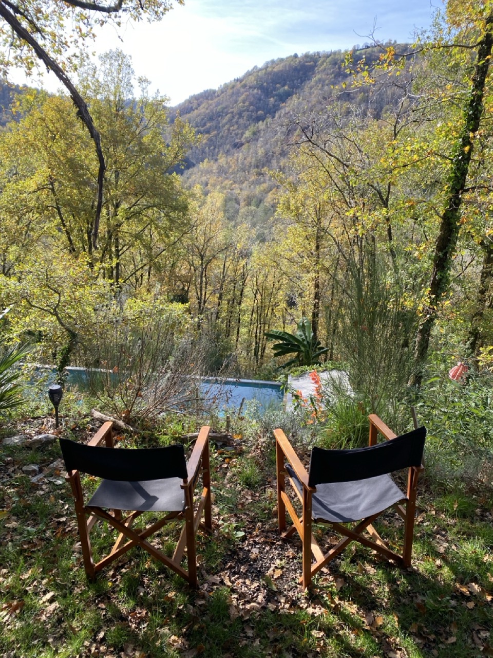 Deux fauteuils face à la forêt et au couloir de nage