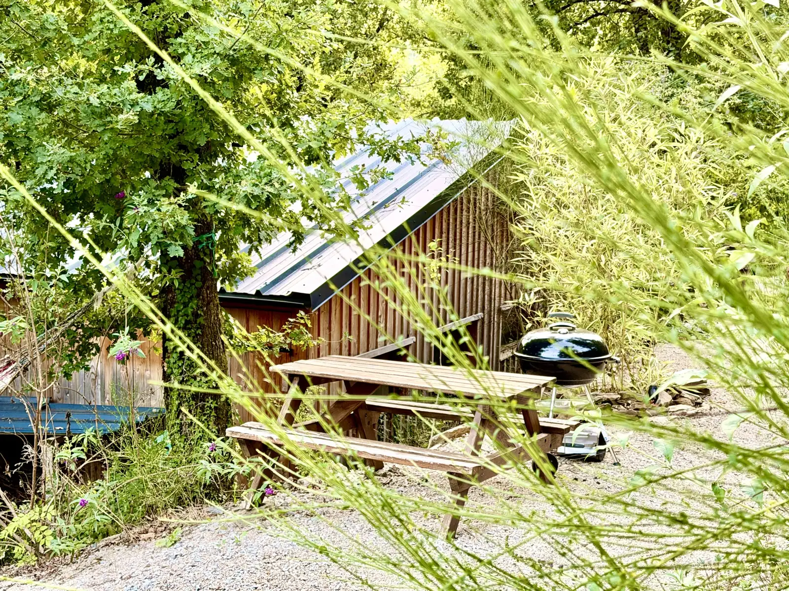 Barbecue area and picnic table in the shade of the trees