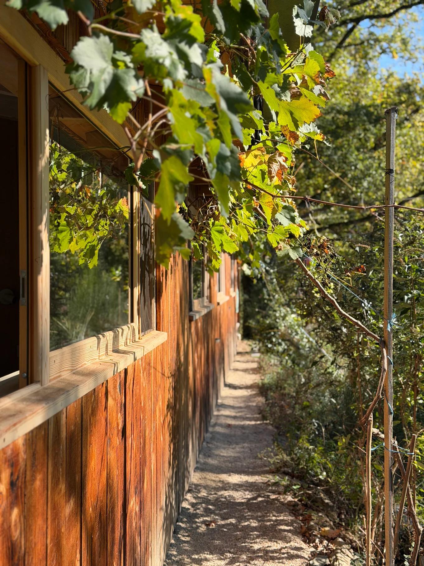 Façade en bois de Lalalandes entourée de végétation