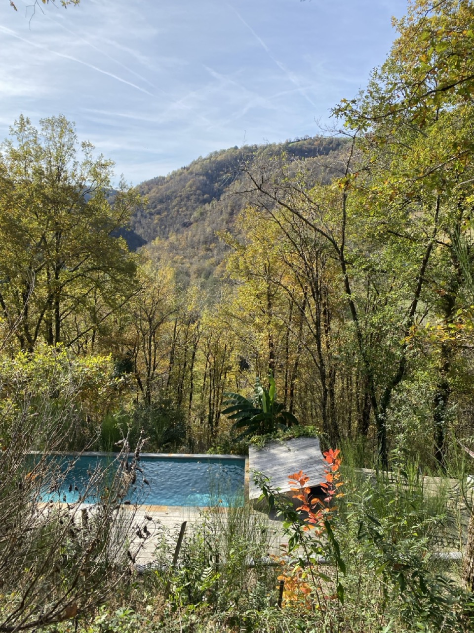 Piscine de Lalalandes avec vue sur la forêt et les montagnes de l'Aveyron