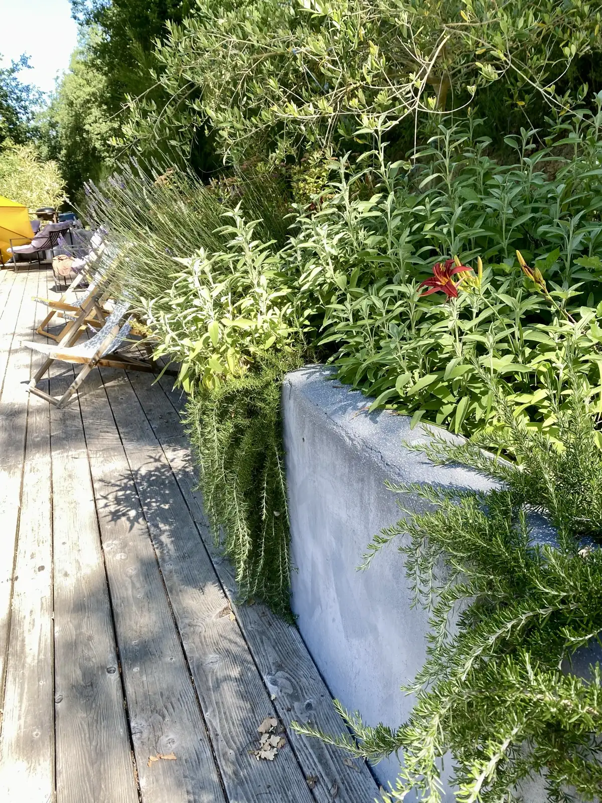 Wooden deck lined with a flowering planter